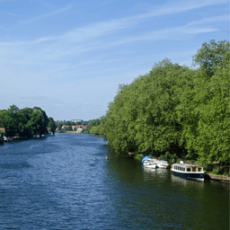 Kingston