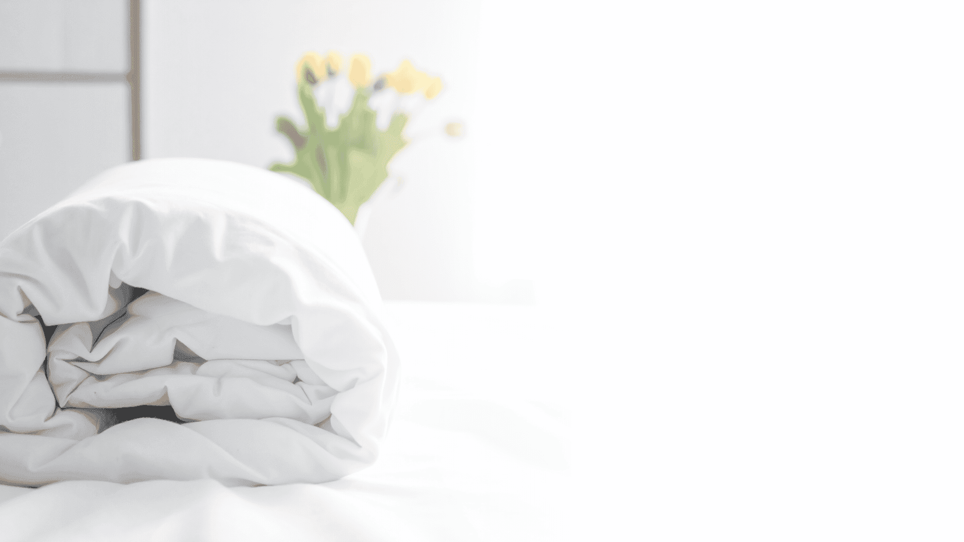 Duvet Cleaning Service